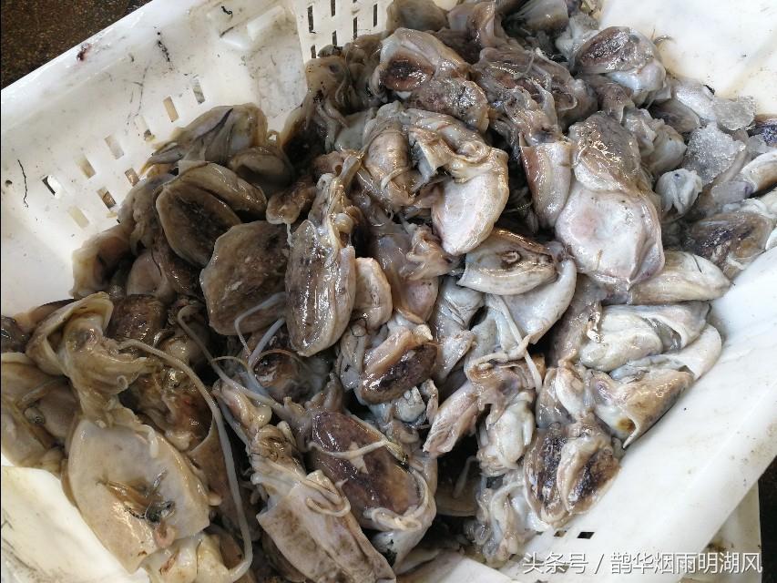 ​据说这是日照最大的海鲜批发市场，你最喜欢吃哪个？ 第6张