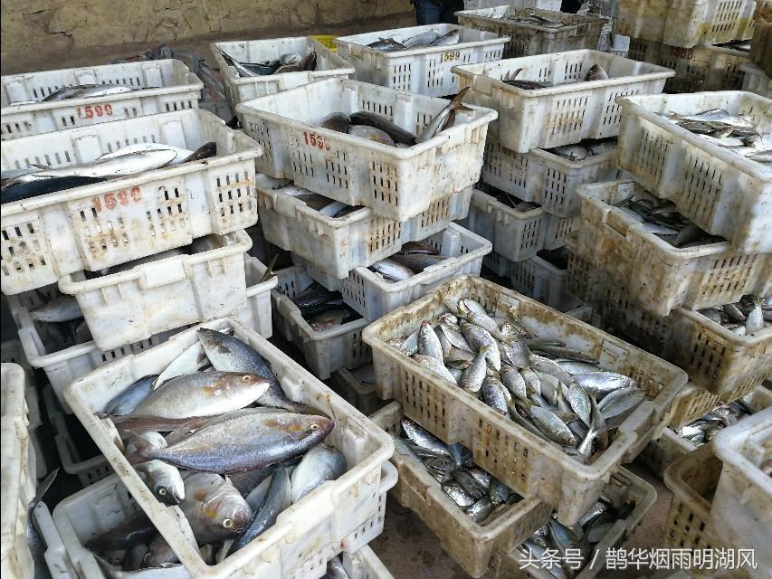 ​据说这是日照最大的海鲜批发市场，你最喜欢吃哪个？ 第5张