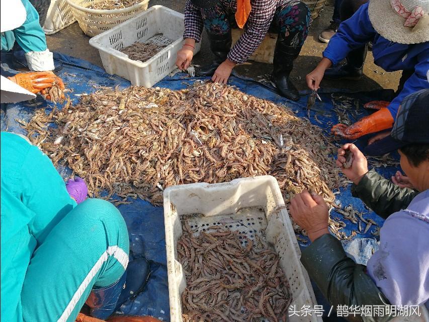 ​据说这是日照最大的海鲜批发市场，你最喜欢吃哪个？ 第10张