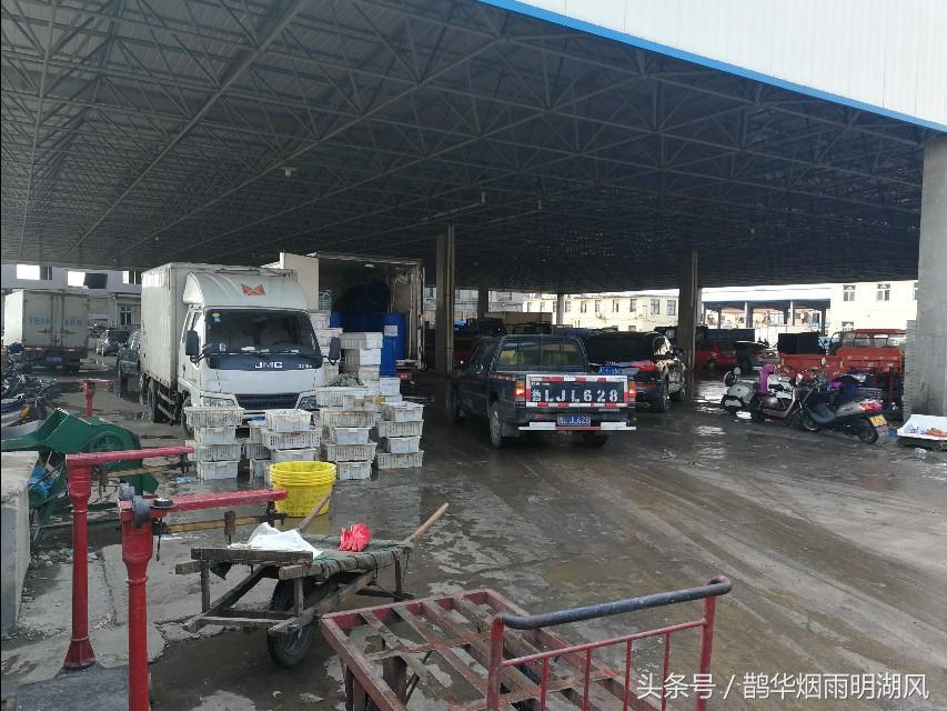 ​据说这是日照最大的海鲜批发市场，你最喜欢吃哪个？ 第21张