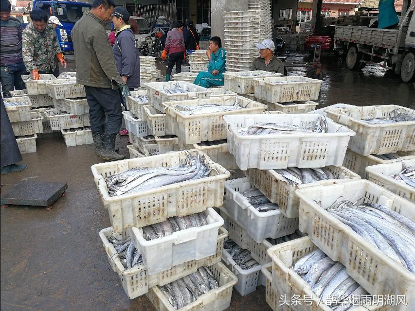 ​据说这是日照最大的海鲜批发市场，你最喜欢吃哪个？ 第3张