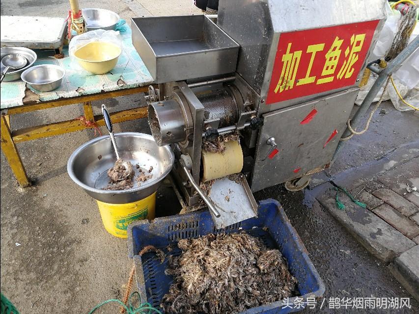 ​据说这是日照最大的海鲜批发市场，你最喜欢吃哪个？ 第19张