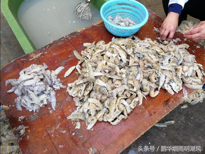 ​据说这是日照最大的海鲜批发市场，你最喜欢吃哪个？ 第17张