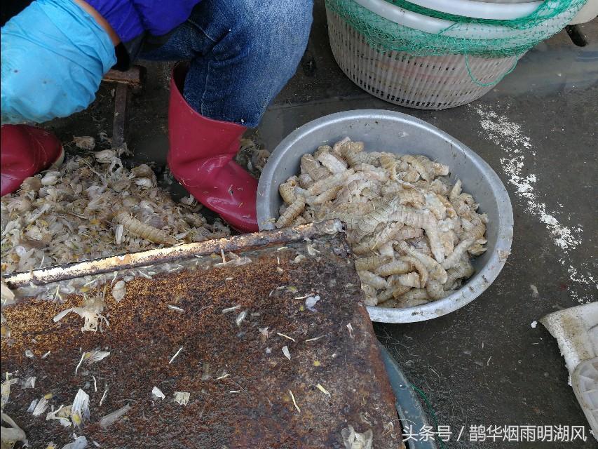 ​据说这是日照最大的海鲜批发市场，你最喜欢吃哪个？ 第16张