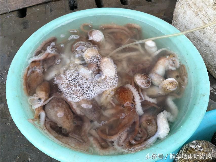 ​据说这是日照最大的海鲜批发市场，你最喜欢吃哪个？ 第15张