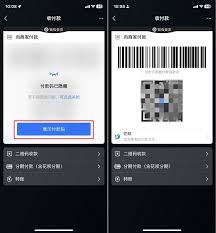 如何设置“付款码隐私保护” 第1张