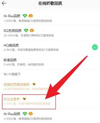qq音乐如何设置音质 第2张