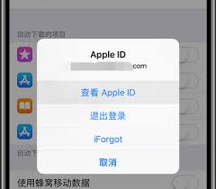 苹果id的格式是什么 第1张