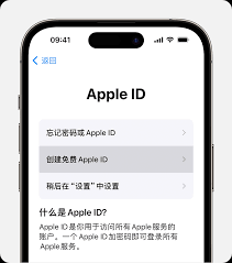 苹果id的格式是什么 第2张