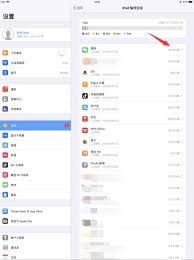 释放iPad全部潜力？调整这些设置 第2张