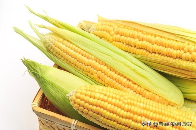 ​吉林省长春市公主岭市 第3张