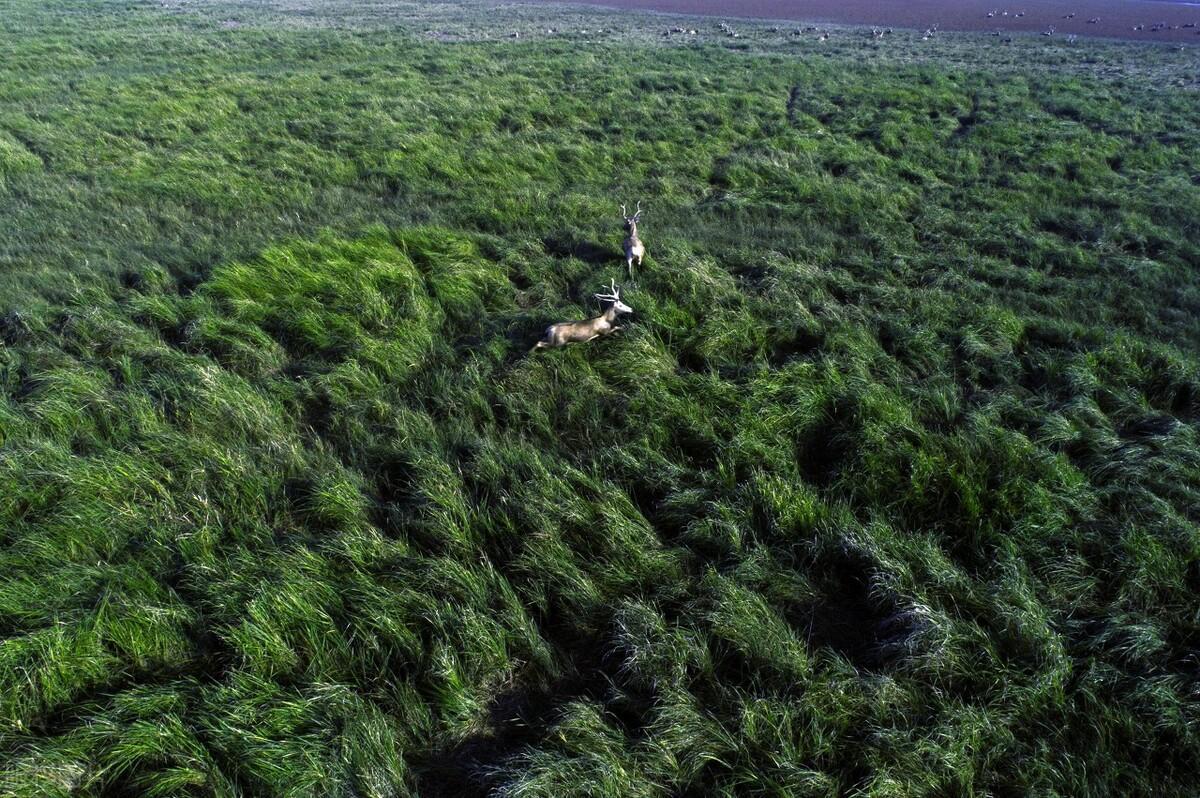 ​中国的14处世界自然遗产名录，人类宝藏旅行目的地，你去过几个？ 第18张