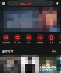 网易云音乐如何查看歌曲曲风 第1张