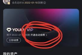 如何取消优酷会员包月自动续费 第1张