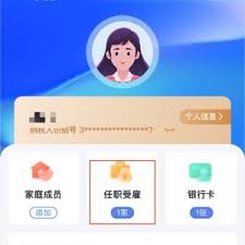 个人所得税APP受聘单位被冒用如何处理 第3张