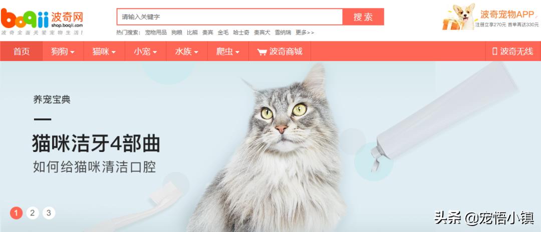 ​国内外较著名的宠物网站大全 第6张