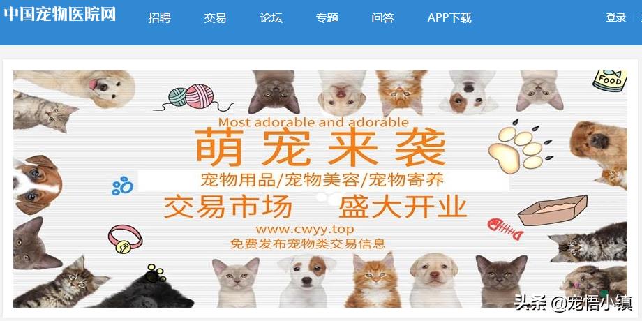 ​国内外较著名的宠物网站大全 第10张