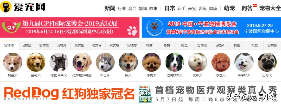 ​国内外较著名的宠物网站大全 第7张