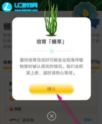 神奇海洋11.7答案是什么 第2张