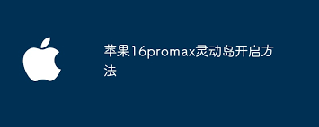 苹果16promax如何开启灵动岛 第1张