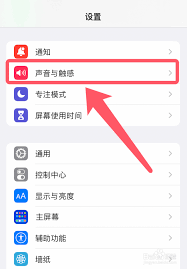 苹果手机如何开启按键震动 第1张