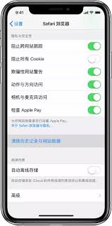 苹果浏览器Safari如何设置隐私 第1张