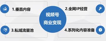 视频号做什么内容容易变现 第3张