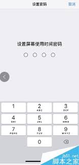iphonexsmax如何为App加密 第1张