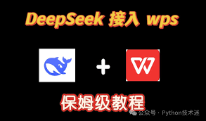 如何进行接入wps的deepseek详细步骤 第2张
