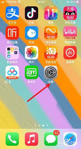 苹果13如何设置圆浮标 第1张
