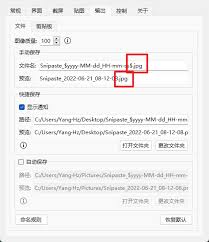 Snipaste如何设置截图默认格式 第1张