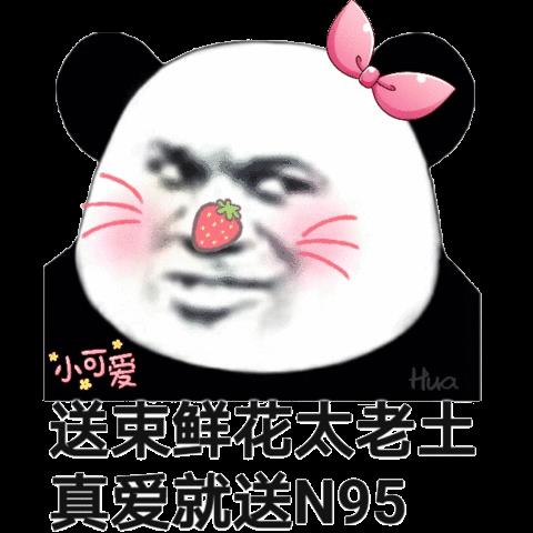 ​熊猫头情人节表情包合集｜送束鲜花太老土，真爱就送N95 第2张