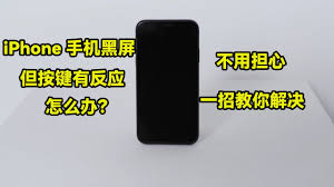 苹果手机黑屏有声音屏幕不亮怎么办 第2张