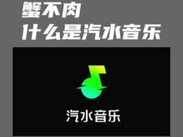 汽水音乐收藏的歌如何添加到剪映 第2张