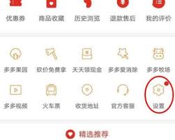 拼多多如何查看账号ID 第1张