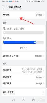 华为如何设置固定时间免打扰 第1张