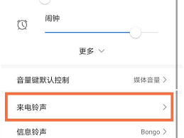 荣耀来电视频如何关闭设置界面 第2张