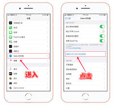 Safari如何清理下载历史 第1张