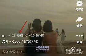 快手如何查看发布视频的播放量 第2张