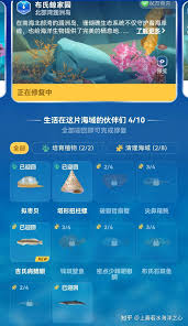 如何玩支付宝蚂蚁森林神奇海洋 第2张
