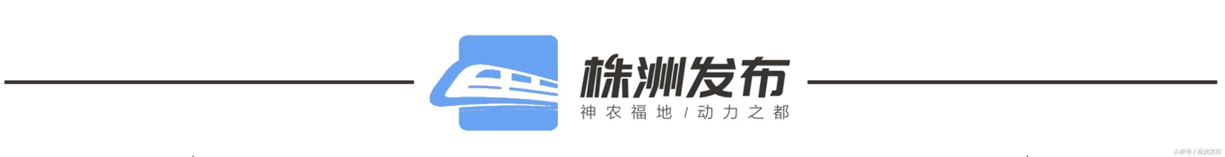 ​湖南公安服务平台来袭！有了它，违章查缴、身份证补领等等，一键搞定！ 第7张