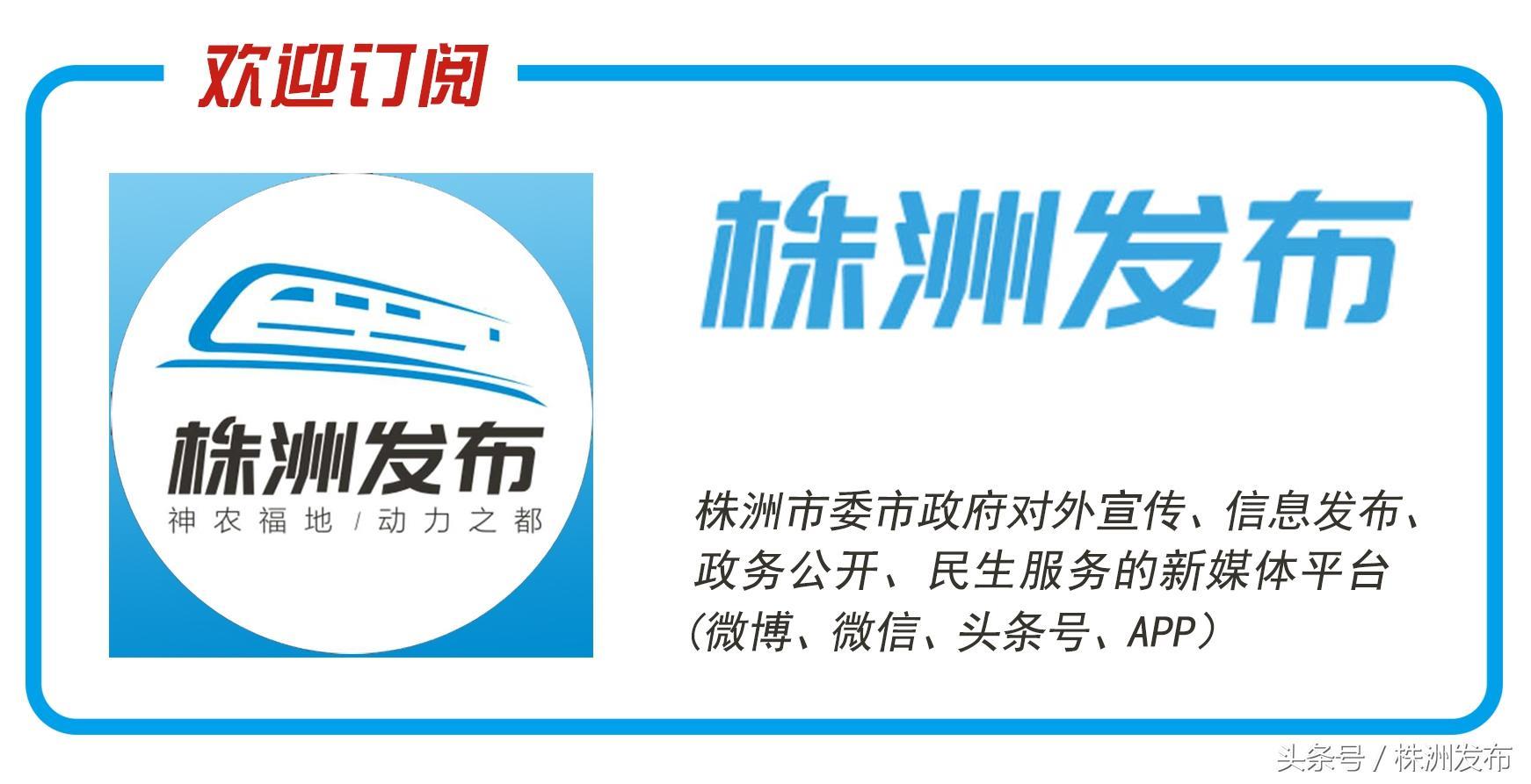 ​湖南公安服务平台来袭！有了它，违章查缴、身份证补领等等，一键搞定！ 第8张