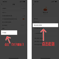 番茄小说如何设置无广告 第1张