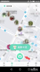 形色app怎么找桑树 第2张