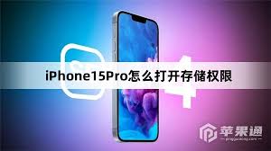 苹果iPhone15如何开启存储权限 第1张