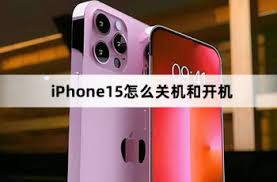 苹果iPhone15如何开启存储权限 第3张