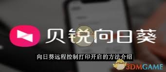 向日葵远程控制怎么开启打印功能 第2张