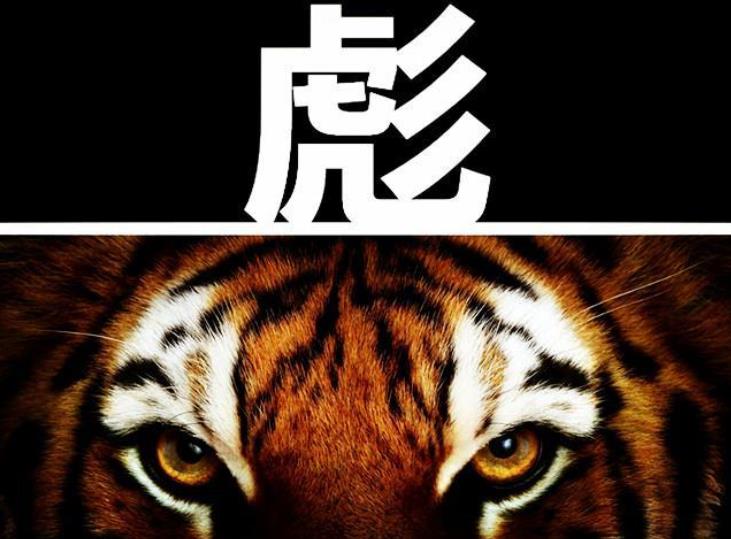 ​古语说“虎生三子，必有一彪”，彪是什么动物？深层含义少有人知 第6张