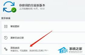 游戏运行时出现fatal error怎么办 第2张