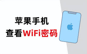 手机如何查看WiFi密码 第1张